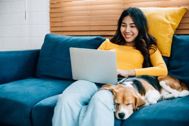 Bir kadın evdeki kanepede çalışırken gülümsüyor, yanında uyuyan Beagle köpeği. Onların dostane varlığı oturma odasını ahenkli bir çalışma alanına dönüştürüyor. Dost canlısı köpek. Hayvan sevgisi