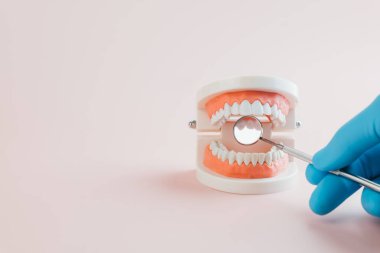 Diş bakımı yapan dişçi, diş modelinin yanında bir ayna tutuyor. Diş hekimliği, diş hekimliği gününde diş hekimliği bilincini arttırıyor. Eldivenli eller, diş bakımını ve pastel pembe arka plandaki diş bakımını ön plana çıkarıyor..