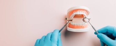 Diş hünerlerini sergileyen diş hekimi, bir diş modelini incelemek için bir sonda ve ayna kullanıyor. Diş hekimi, Dünya Ağız Sağlığı Günü için ağız sağlığı hizmetlerini ön plana çıkarıyor.