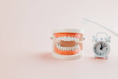 Diş Hekimliği Günü gereklidir. Diş fırçası, beyaz alarm saati ve pembe arka plandaki diş modeli diş hekiminin oral sağlık ve Dünya Ağız Sağlığı Günü farkındalığı.