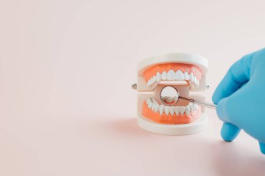 Diş hekimliği eldivenli eller bir diş modelinin diş aynasını kullanır. Diş hekimi diş sağlığı hizmetleri gününde ağız sağlığı bilincini artırır ve pembe üzerinde hijyen, çene modeli bakımı ve sağlık uygulamalarını vurgular..