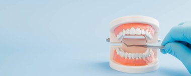 Dişçi Günü farkındalığı. Bir dişçi eldivenli el, bir sonda ile bir diş modelini inceler, diş çürükleri, ağız muayenesi ve diş bakımı gösterir.