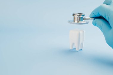 Dişçi Günü 'nde steteskoplu bir doktor mavideki diş modelini kontrol ediyor. Dünya Ağız Sağlığı Günü 'nde diş hekimlerini, diş hekimlerini ve oral sağlık hizmetlerini tanımak. Boşluğu kopyala