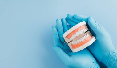 Dişçi günü konsepti. Eldivenli bir doktor mavi arka planda bir diş modelini tutuyor. Dünya Ağız Sağlığı Günü 'nde diş hekimleri, diş sağlığı ve ağız sağlığı bilincini kutluyoruz. Düz yatış, Üst Görünüm