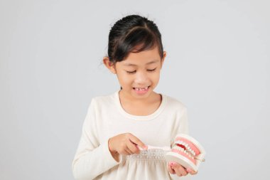 Diş hekimi diş fırçası ve diş mankeni tutan gülümseyen kıza diş kaybını açıklıyor. Boşluğu olan Asyalı çocuk süt dişlerini, diş bakımını ve iyi hijyeni öğreniyor. izole edilmiş beyaz arkaplan