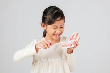 Diş aralığı olan gülümseyen Asyalı kız diş fırçası ve diş mankeni tutuyor. Çocuk diş bakımını, diş dökülmesini ve dişleri nasıl sağlıklı tutacağını öğreniyor. izole edilmiş beyaz arkaplan