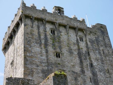 Eski Kelt kale kulesi, İrlanda 'daki Blarney kalesi, eski Kelt kalesi.