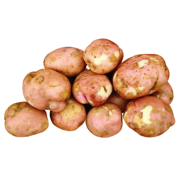 Kartoffeln Isoliert Auf Weißem Hintergrund Foto Schließen — Stockfoto