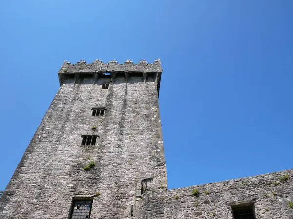 Gamla Celtiska Slottet Torn Blarney Slott Irland Gamla Antika Celtiska — Stockfoto