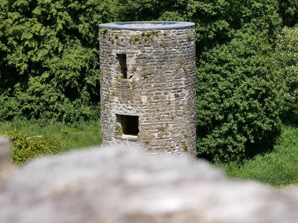 Alter Keltischer Burgturm Zwischen Bäumen Mit Verschwommenem Stein Vorne Schloss — Stockfoto