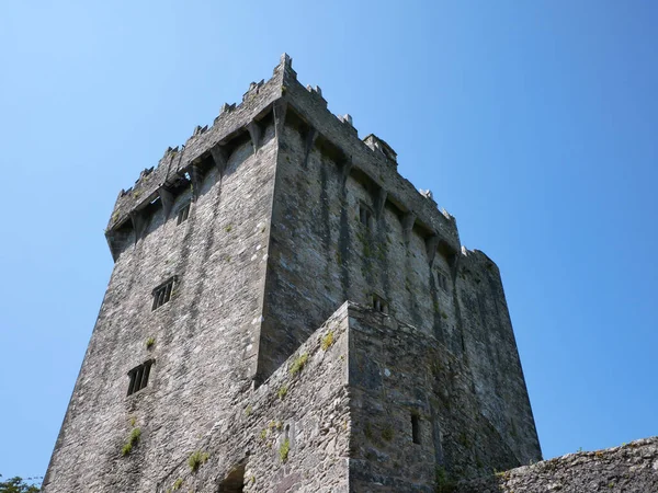 Forntida Torn Bakgrund Blarney Slott Irland Celtic Fästning — Stockfoto