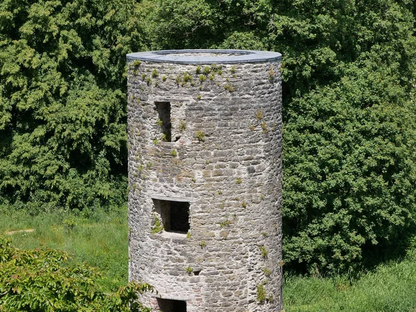 Stará Keltská Hradní Věž Mezi Stromy Hrad Blarney Irsku Stará — Stock fotografie