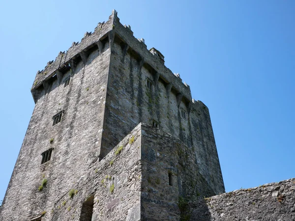 Forntida Torn Bakgrund Blarney Slott Irland Celtic Fästning — Stockfoto