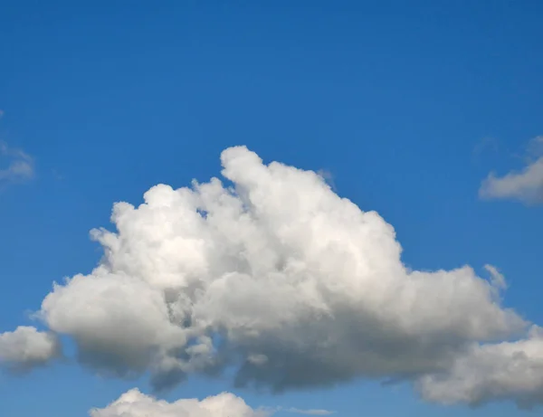 Stock image Single white cumulus cloud background over the blue summer sky background