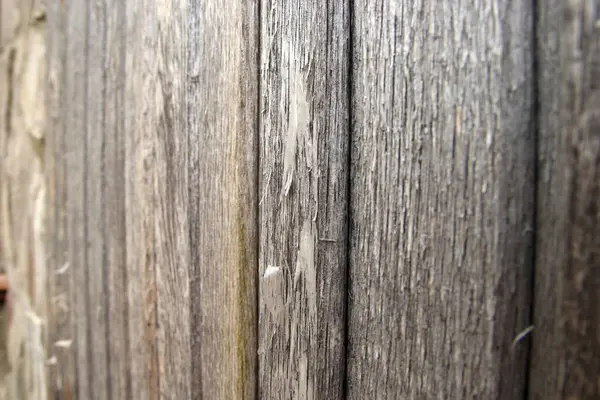 Old Wooden Wall Texture Wooden Pattern Natural Background Closeup View — Stock Photo, Image