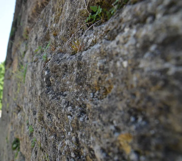 Stone Wall Abstract Background Close Macro View — Stock Photo, Image