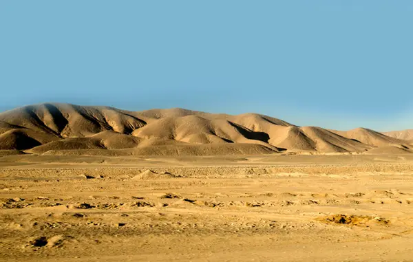 Sahara Woestijn Duinen Met Velden Met Goudkleurig Zand — Stockfoto