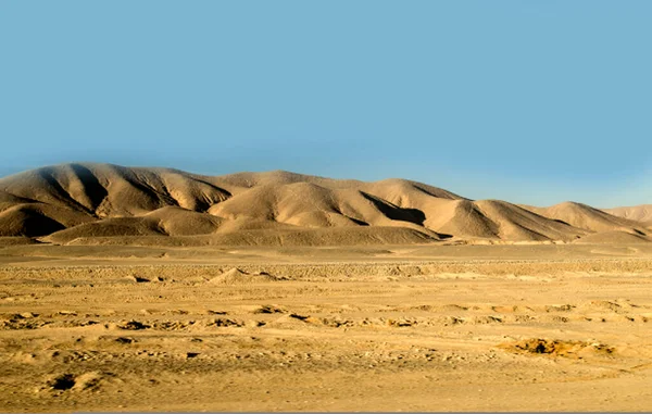 Sahara Ørken Klitter Med Marker Gyldent Sand - Stock-foto