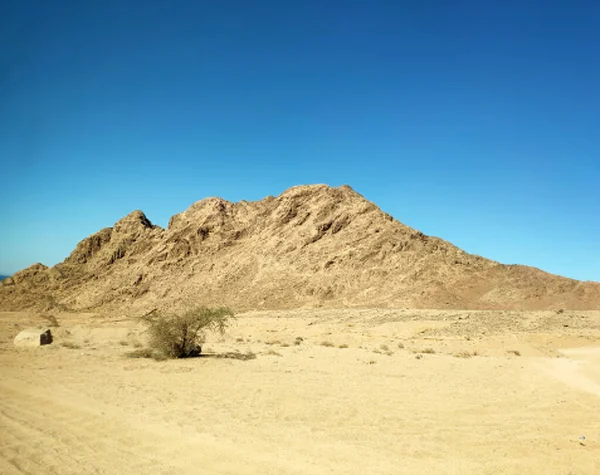Sinai Deserto Backgound Com Montanhas Paisagem Deserta — Fotografia de Stock
