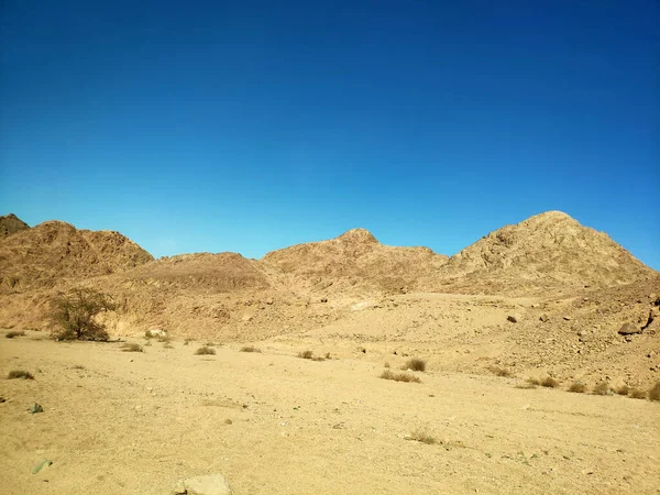 Sinai Desert Backgound Mountains Deserted Landscape — Stock Photo, Image