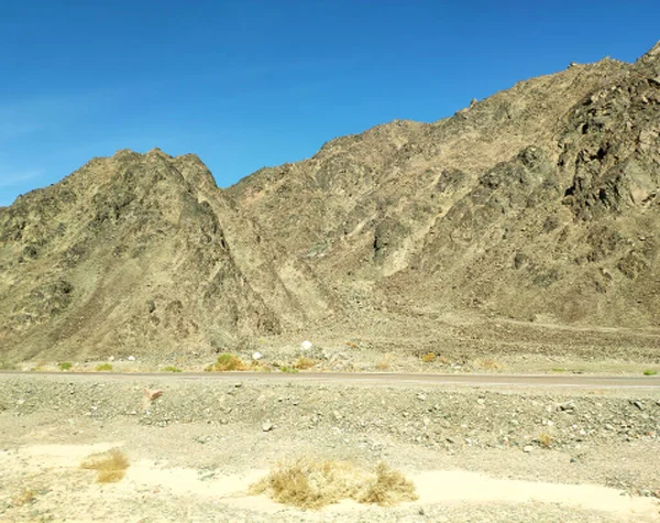 Sinaí Desierto Backgound Con Montañas Colinas Paisaje Desierto Fondo Pantalla —  Fotos de Stock