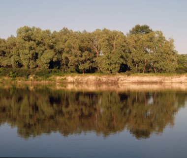 bir yaz orman su yansıması. Ukrayna'da Desna Nehri