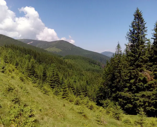 Montes Montanhas Com Bosques Relva Verde Fundo Natural Verão Conceito — Fotografia de Stock