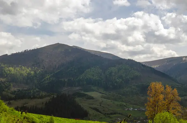Sommarsemester Bergen Naturliga Bergslandskap — Stockfoto