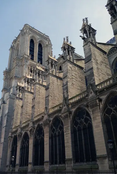 Cathédrale Notre Dame Paris France Détails Architecturaux Des Lieux Touristiques — Photo