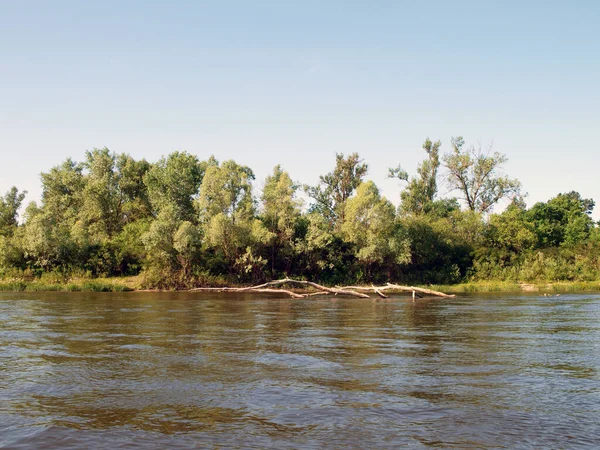 Floden Med Vågor Och Sawyers Den Sommartid Lugnt Vatten — Stockfoto