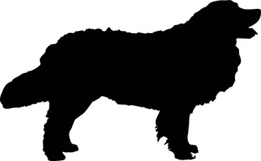 Köpek silueti işaretli vektör çizimi. Beyaz arka plan üzerinde siyah köpek ya da kurt şekli. Koruma konsepti. Veteriner klinikleri logosu kavramsal illüstrasyon