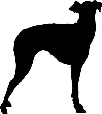 Köpek silueti işaretli vektör çizimi. Beyaz arka plan üzerinde siyah köpek ya da kurt şekli. Koruma konsepti. Veteriner klinikleri logosu kavramsal illüstrasyon