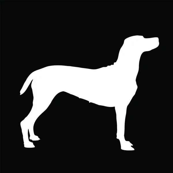 Векторная Иллюстрация Формы Собаки Силуэт Белого Пса Черном Фоне Шаблон — стоковый вектор