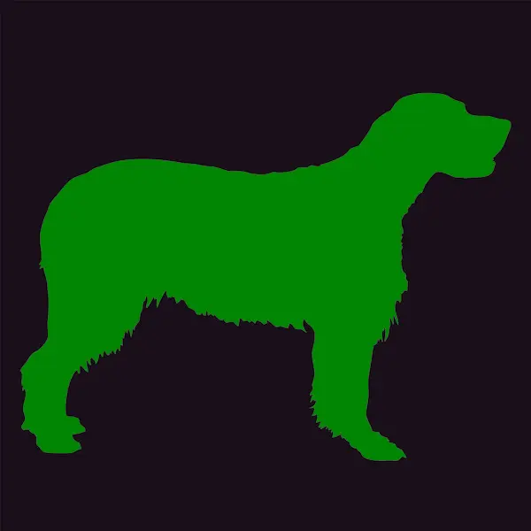 Köpek Şekli Vektör Çizimi Siyah Arka Planda Beyaz Köpek Silueti — Stok Vektör