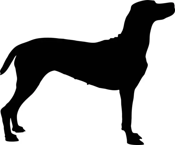 ドッグシルエットベクターイラスト 白い背景の上の黒い犬の形 — ストックベクタ