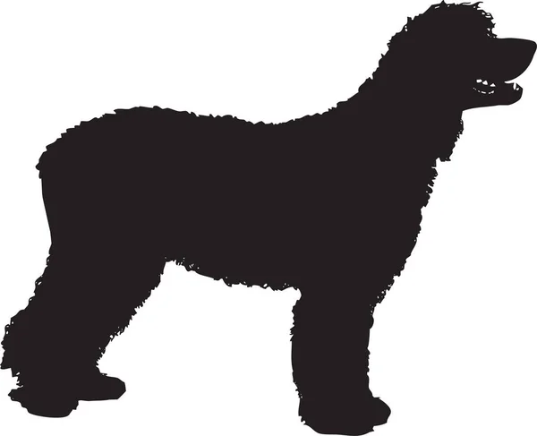 Hondensilhouet Teken Vector Illustratie Zwarte Hond Vorm Witte Achtergrond Beschermingsconcept — Stockvector