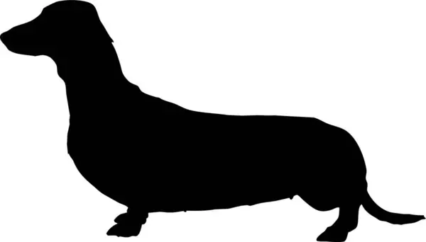 Dackelhund Silhouette Zeichen Vektor Illustration Schwarzer Hund Oder Wolf Auf — Stockvektor