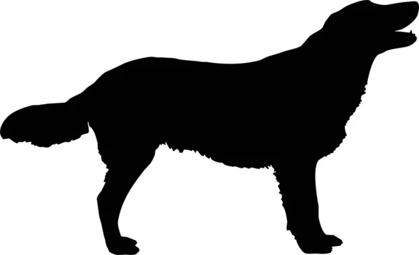Hund Barkar Siluett Tecken Vektor Illustration Svart Hund Eller Varg — Stock vektor