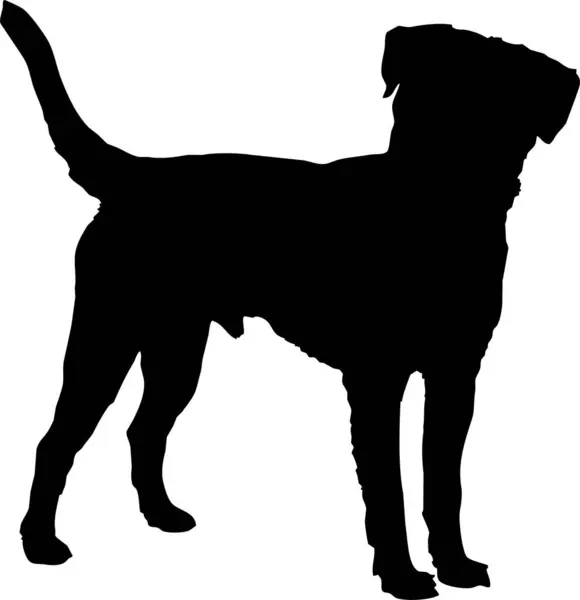 Ilustracja Wektora Znaku Sylwetki Psa Czarny Pies Lub Wilk Kształt — Wektor stockowy