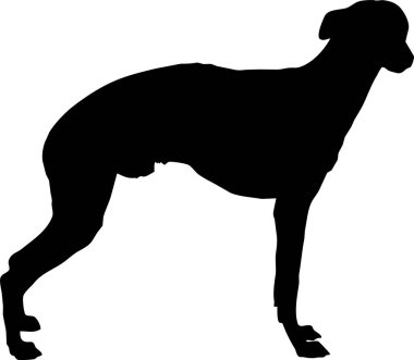 Köpek silueti işaretli vektör çizimi. Beyaz arka plan üzerinde siyah köpek ya da kurt şekli. Koruma konsepti. Veteriner klinikleri logosu kavramsal illüstrasyon