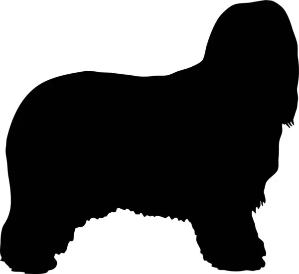 Ilustrasi Vektor Tanda Siluet Anjing Anjing Hitam Bentuk Atas Latar - Stok Vektor