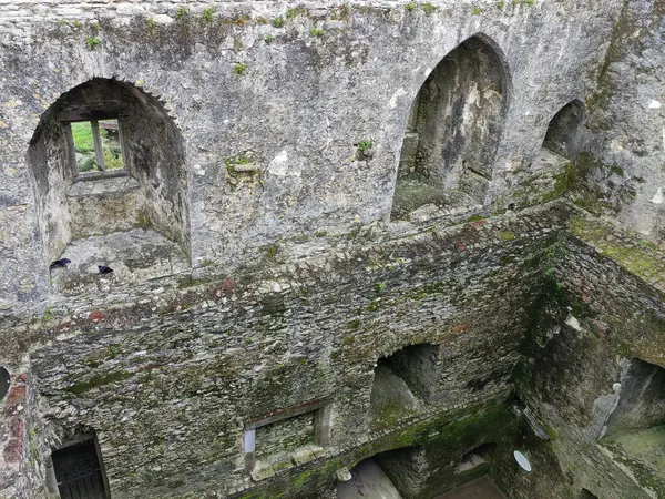 Blarney Κάστρο Στην Ιρλανδία Παλιά Αρχαία Celtic Φρούριο Τείχη Φόντο — Φωτογραφία Αρχείου