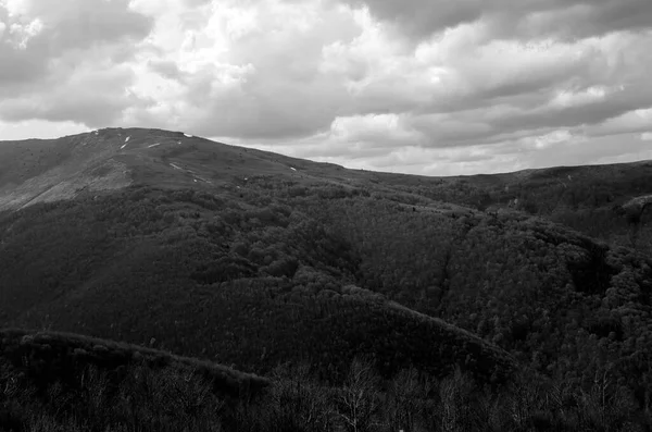 Vacation in the mountains. Forests at the top of the mountains black and white background