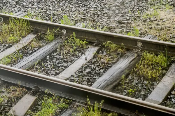 Çim ve taş ile metal demiryolu parça. Kavramsal fotoğraf seyahat