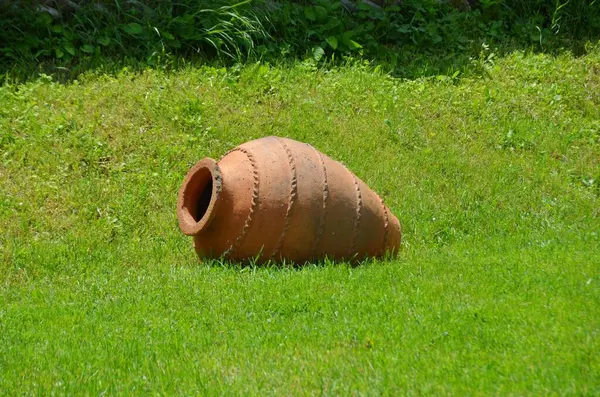 Wine jar laying on green grass, summer nature