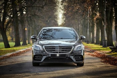 Modern car driving through the woods background,  luxury city car wallpaper