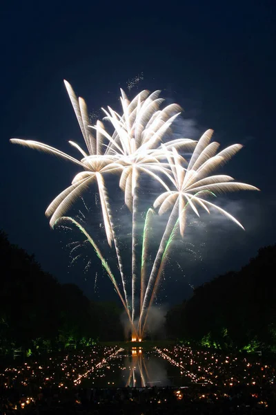Fireworks Background New Year Christmas Birthday Celebration Festive Mood — Stock Photo, Image