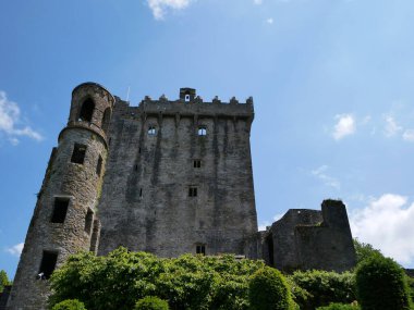 Eski Kelt kale kulesi, İrlanda 'daki Blarney kalesi, eski Kelt kalesi.