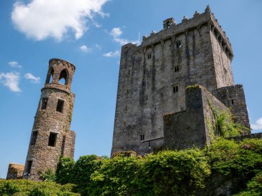 Eski Kelt kale kulesi, İrlanda 'daki Blarney kalesi, eski Kelt kalesi.