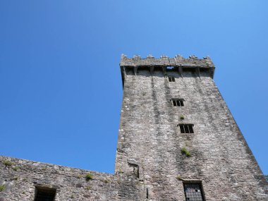 Eski Kelt kale kulesi, İrlanda 'daki Blarney kalesi, eski Kelt kalesi.
